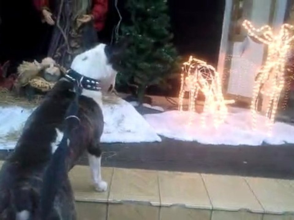 Bundy aboie,Jesus Christ...et la caravanne passe