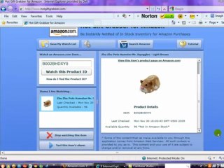 Where Can You Find a Zhu Zhu Pet Hamster?