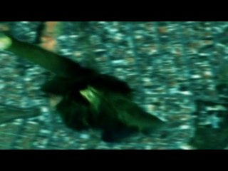 Quincas Borba Origens