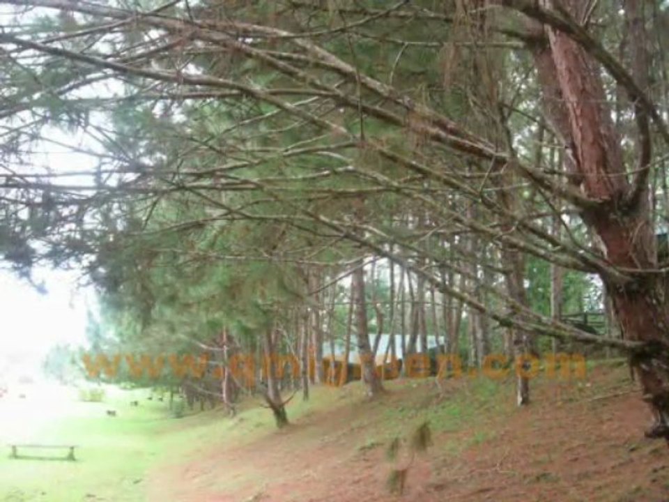 Use of Environmentally Friendly Product To Save The Nature