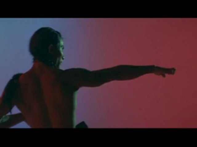 Pur Kung-Fu****