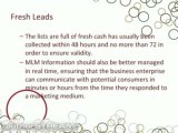 Targeted MLM Lead
