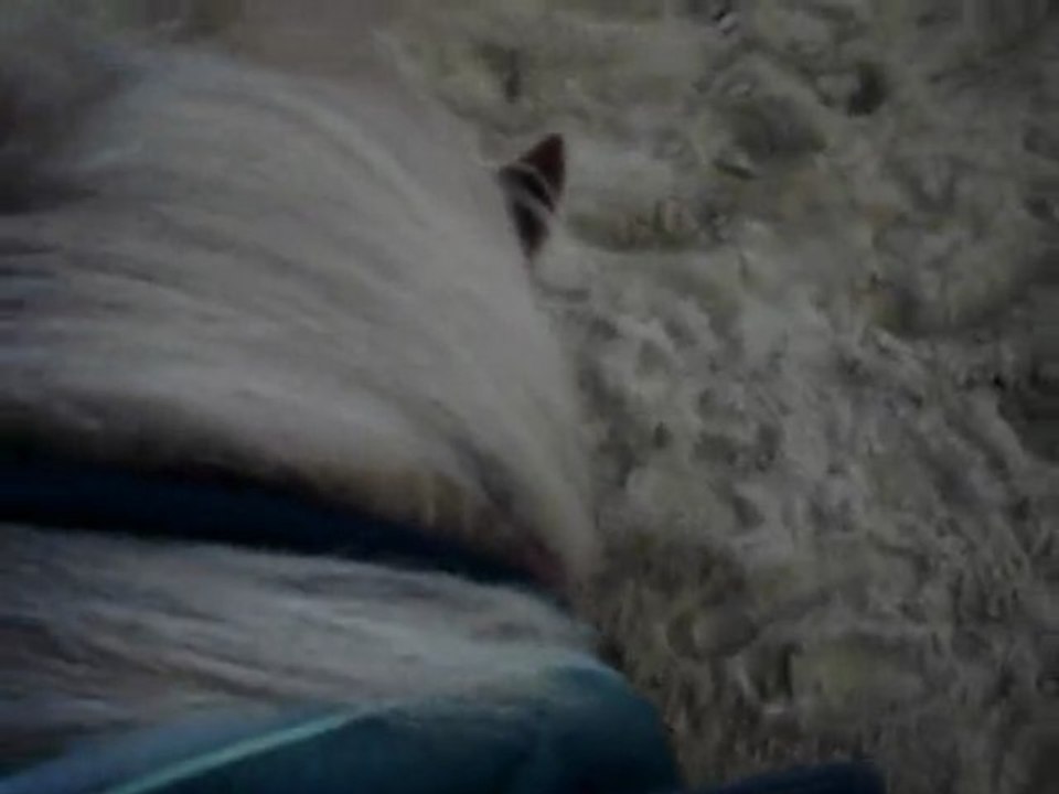 Mattur essai couché sur demande monté