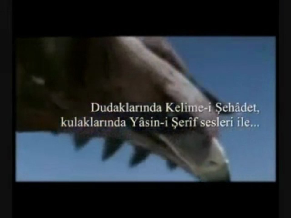 Fatih Sultan Mehmed Han'ın Vefatı