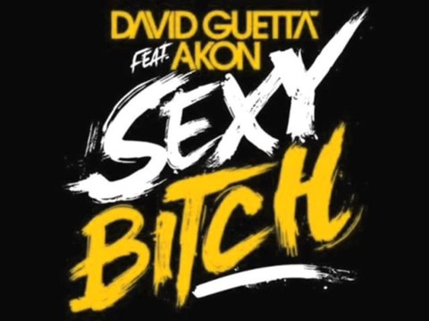 David guetta akon. David guetta обложка. гэтта. David guetta akon bitch. моя мишель - снегири (dj safiter remix).