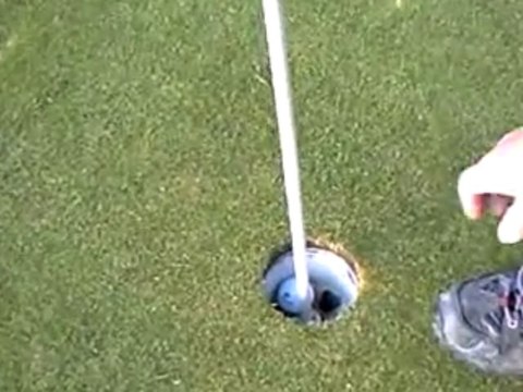 Eagle à la Basquaise au 9 à Albon Senaud Déc09