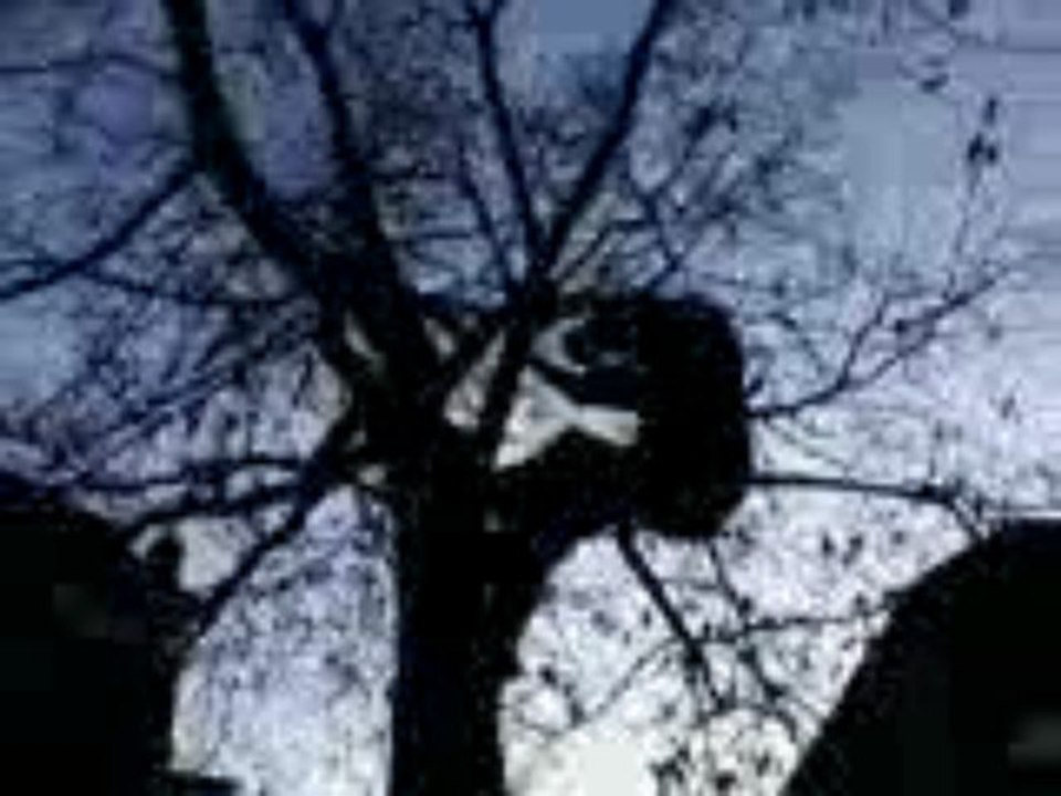 saut de 4m san fillet