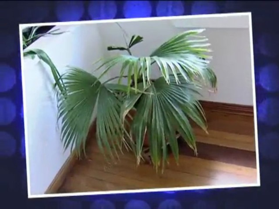 Apartamento de Ivan Lopez