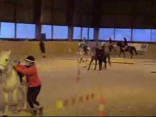 marches 29 novembre 2009 pony games