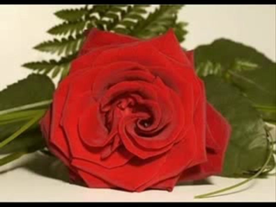 seda sayan gercekci ol