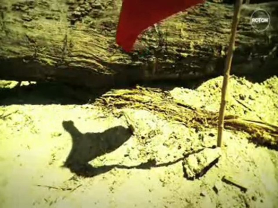 Alex Under Base-Privacy