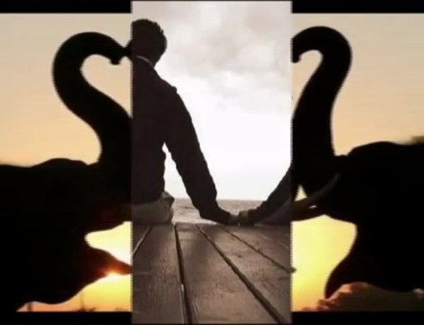 alıştım sana birtanem...