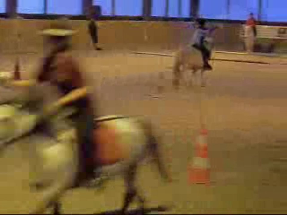 2 tasses 29 novembre 2009 pony games