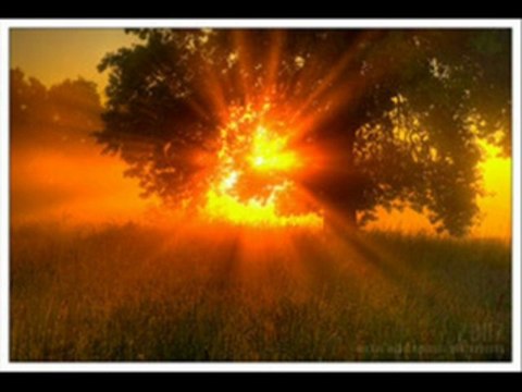 Ferdi tayfur neyleyim sen yoksan eğer