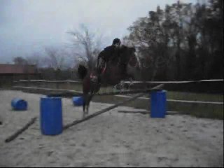 Dimanche 29 novembre