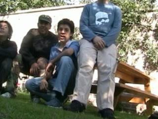 Video 1 Chats de la nuit