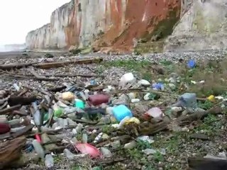 Macro-déchets... Seine-Maritime Normandie FRANCE