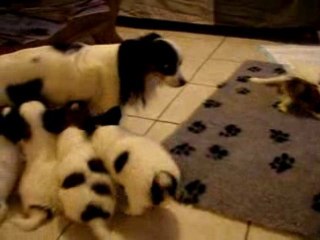 6ème semaine la tétée debout