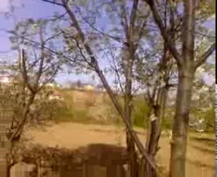 akça kasabası arpalık mahallesi<