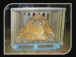 WW7 : Kom je met ons mee?