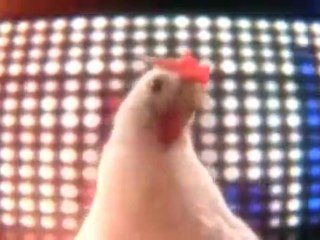 LesCretins.com - La techno Chicken (Tube de Noël)