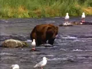 just me testing new camera