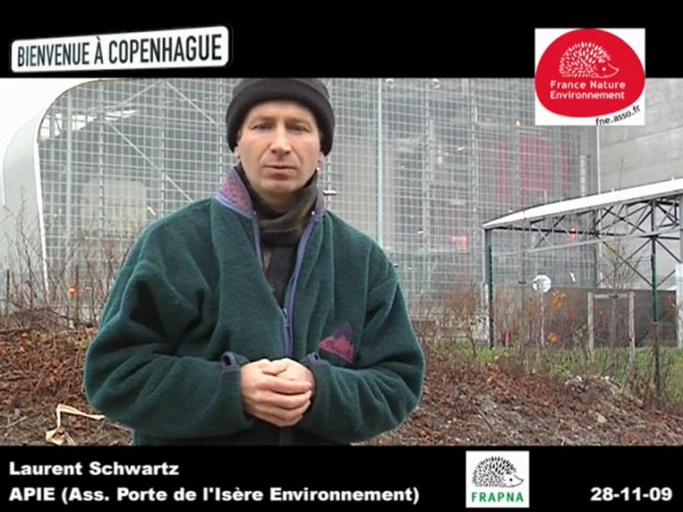 Laurent Schwartz, APIE