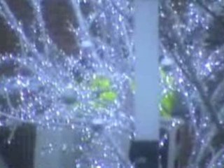 Montage de l'Arbre de Noël, place Saint Amé à Douai