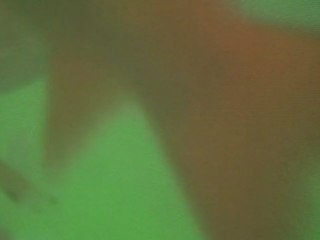 CÉLESTE BOURSIER-MOUGENOT, VIDEODRONES