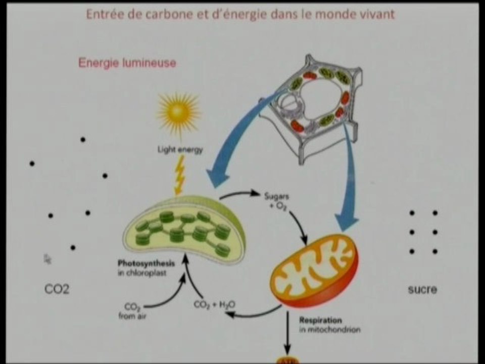 Les Leçons de l'Université 2009 - H. Sallanon (1)