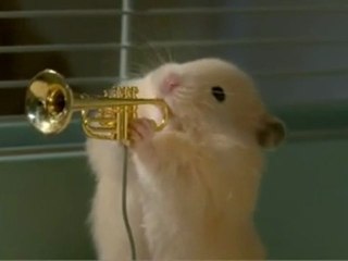 Jazzy Hamters ;o) (HQ)