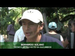 AGRICULTORES DE SUCUMBIOS EN MANABI