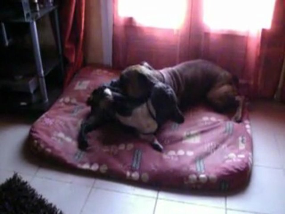 Tyson et Chloé