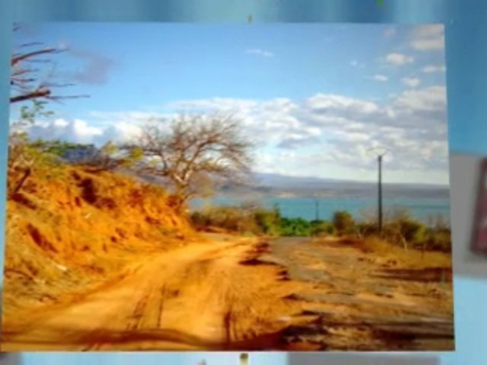 Video Greetings With Animoto - Example