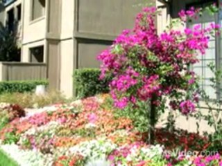 Schooner Landing Apartment Homes in Stockton, CA