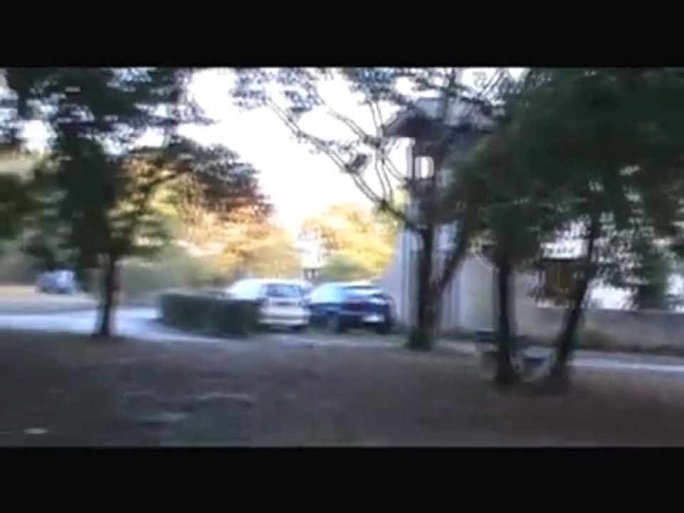 Sauvons la forêt du Coulin à Andernos, signez la pétition