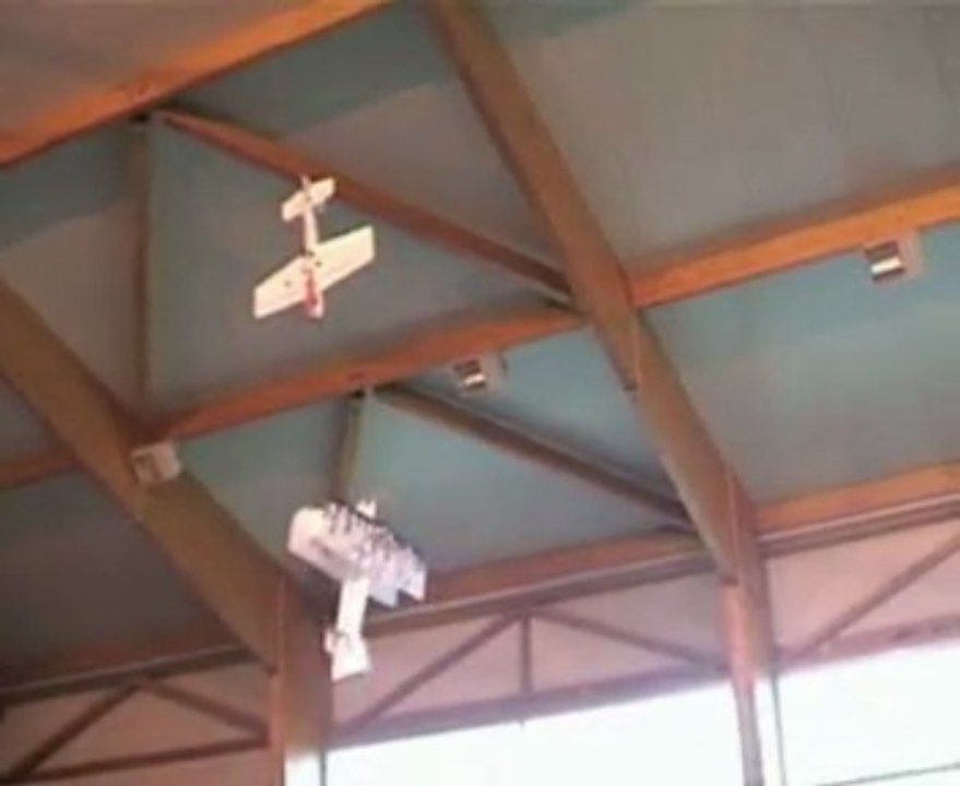 Betisier indoor