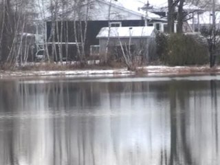 reflections on the lake in back of my house