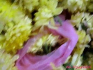 Karthigai Deepam Festival