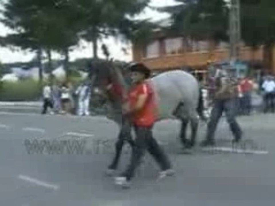 OUPS !!! Touche pas ma queue