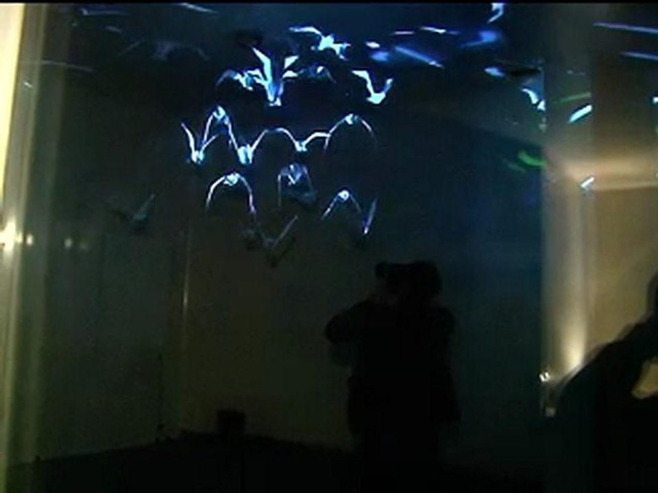 La Fête des Lumières dans les arrondissements
