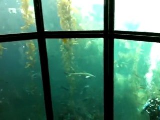 Monterey Bay Aquarium