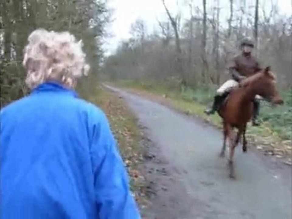 Bonus 4: Forêt 1ere partie (Monsieur Georges)