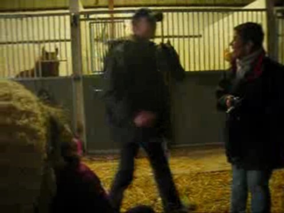 concert champêtre sur un air tzigane