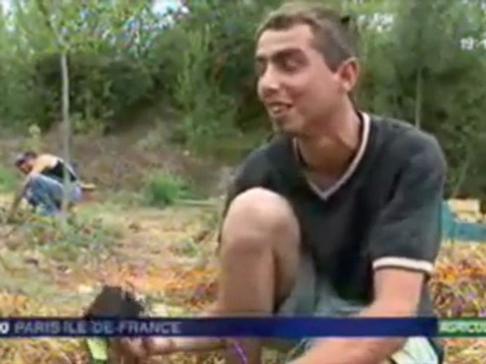 La Ferme du Bonheur - Nanterre - Le Parc Rural Expérimental