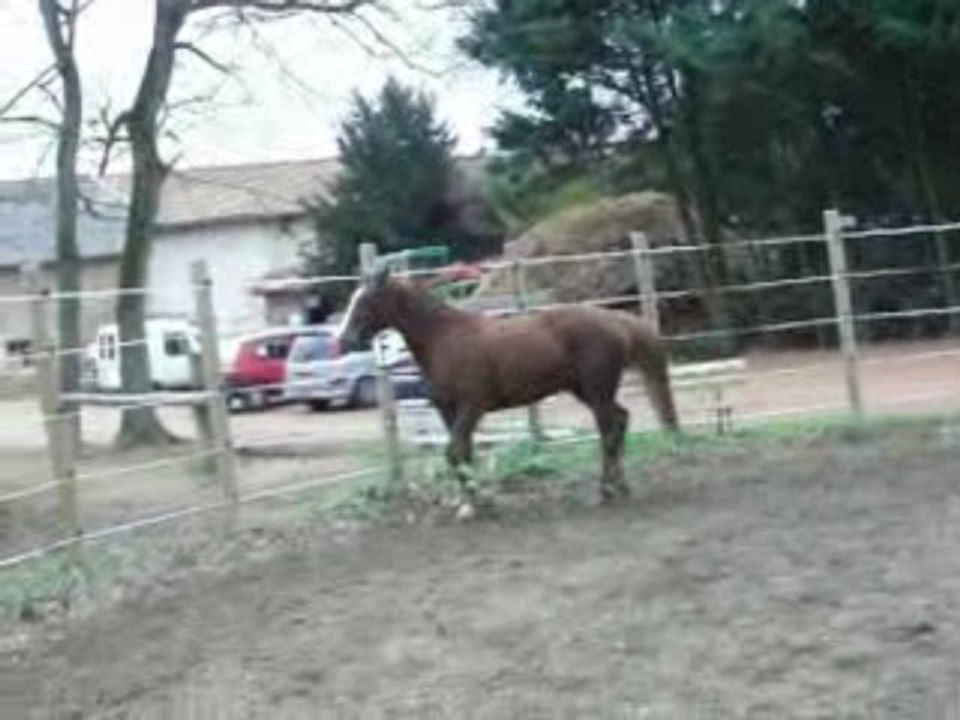 ppemier entraînement de Cheytane