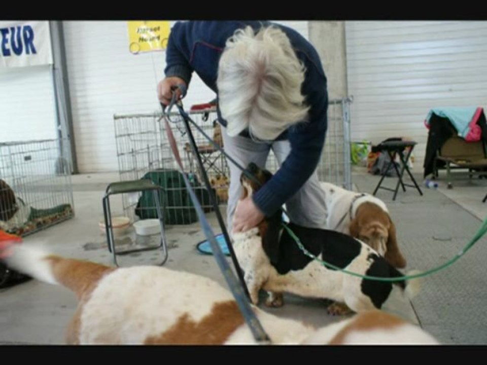 baba prod LAVAL 2009 Expo cannine