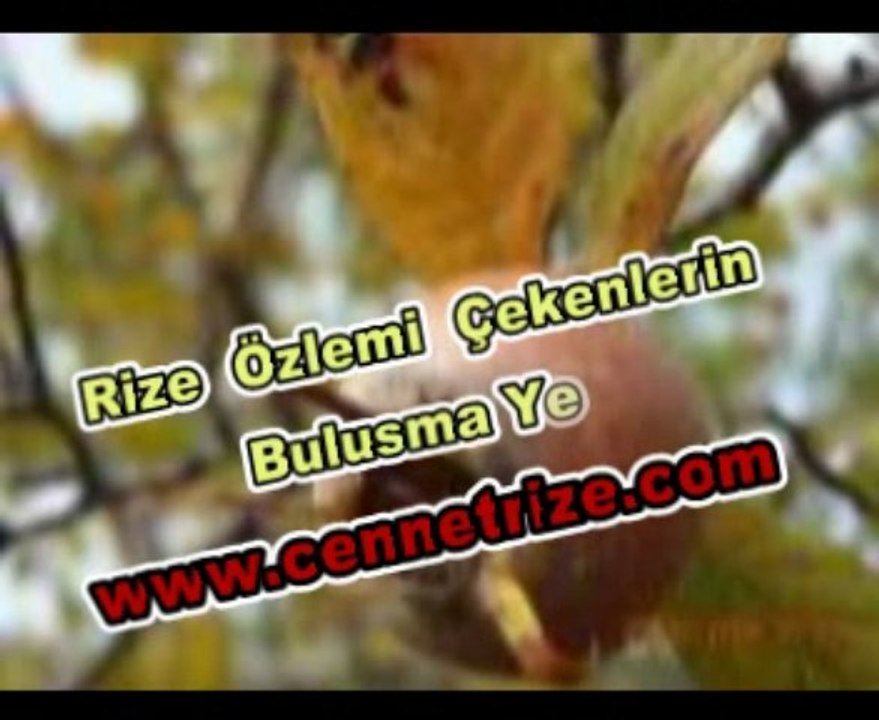 Cennet Rize