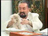 Sayın Adnan Oktar'ın sevimli kedisini gördünüzmü?