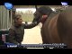 Equitation / Dressage : Le Val d'Oise, vivier de champions !